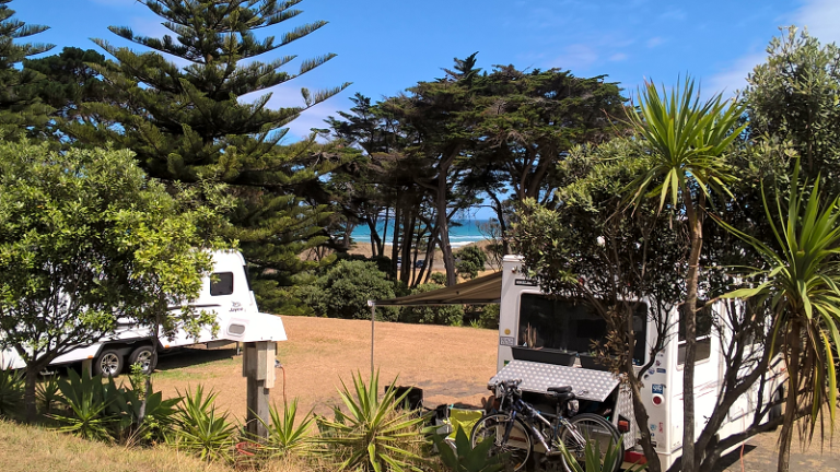 Muriwai Beach Campground Auckland