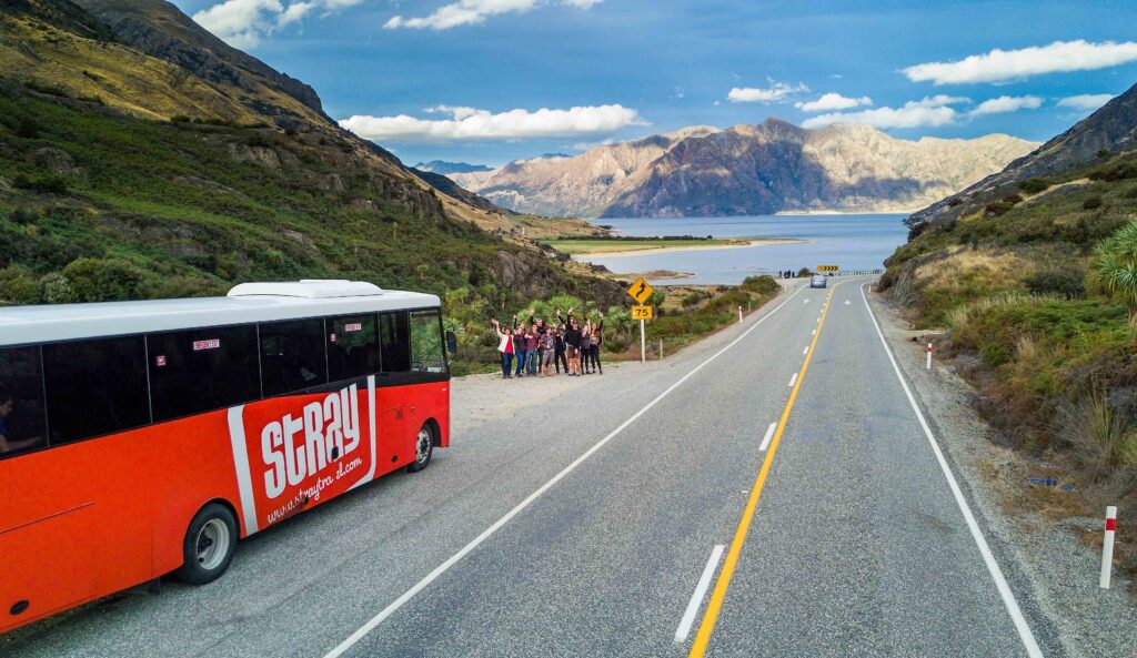 Stray Travel New Zealand