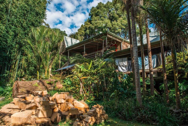 The Tree House New Zealand