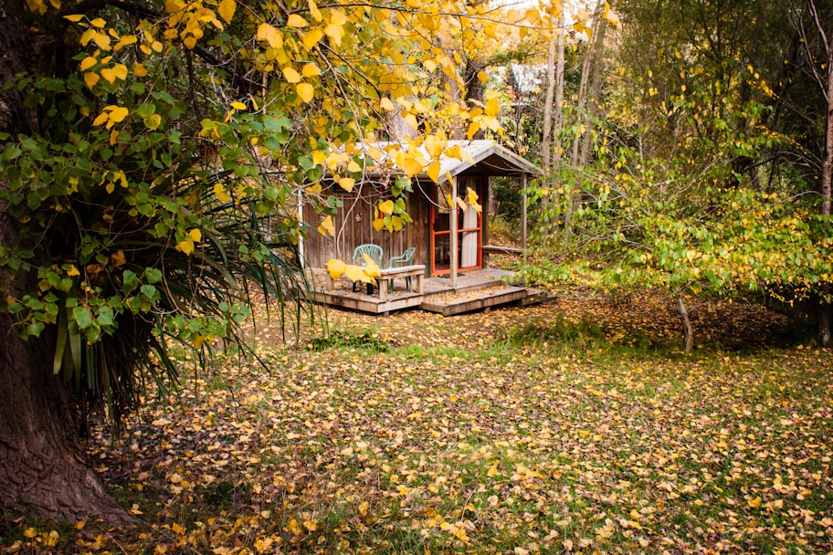The Tree House New Zealand