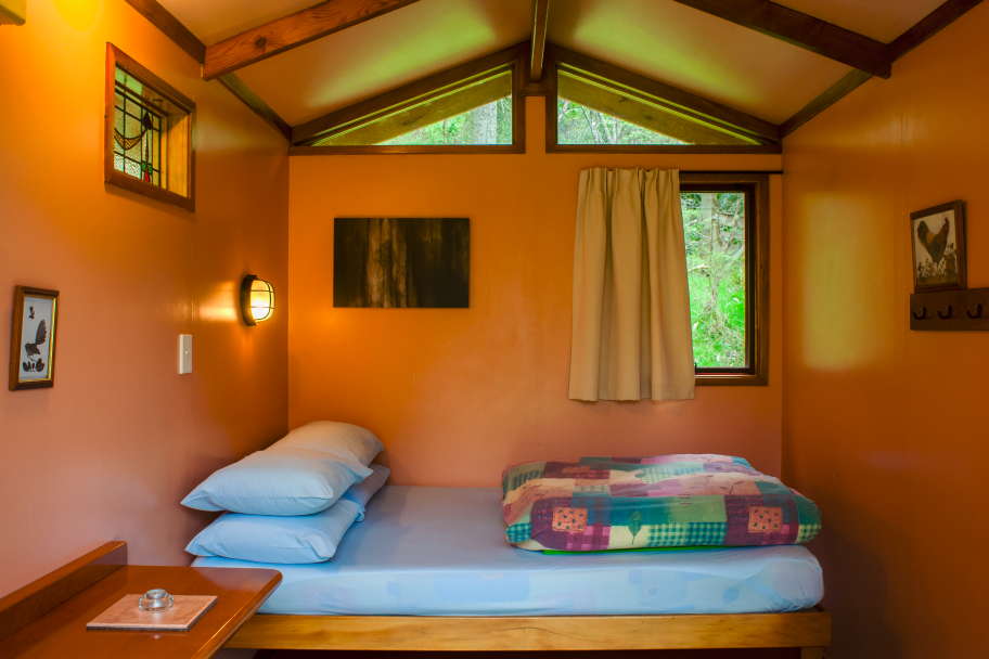 The Tree House New Zealand