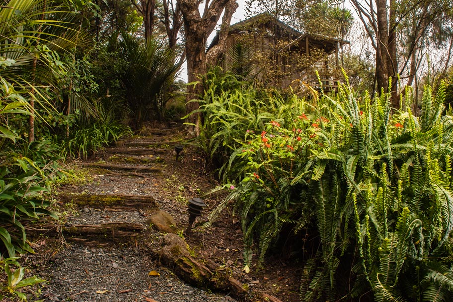 The Tree House New Zealand