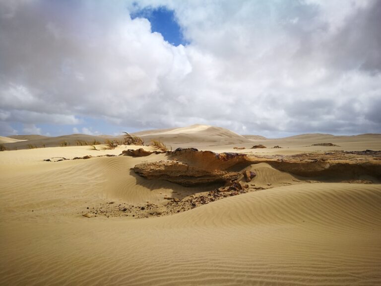 Te Paki Sand Dunes