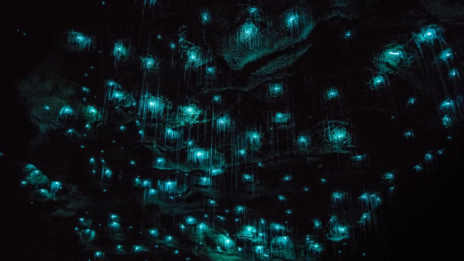 Waitomo Glowworm Caves