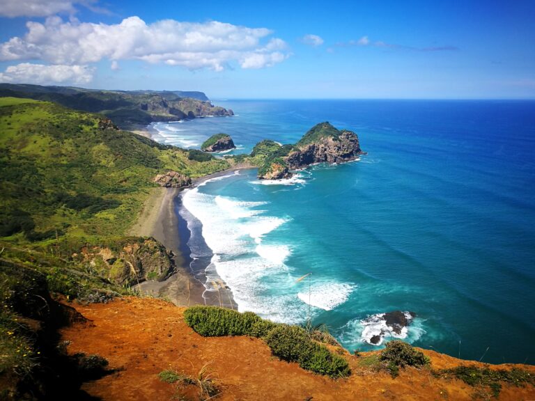 Bethells Beach Auckland