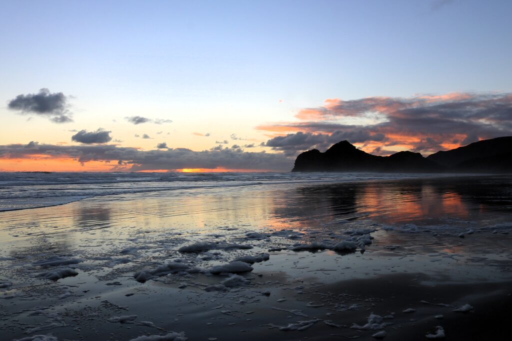 Te Henga / Bethells Beach Auckland