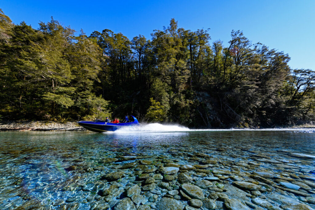 Dart River Adventures