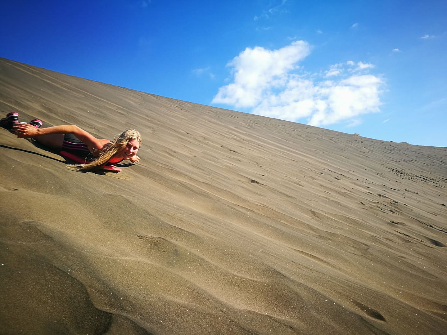 Te Henga / Bethells Beach