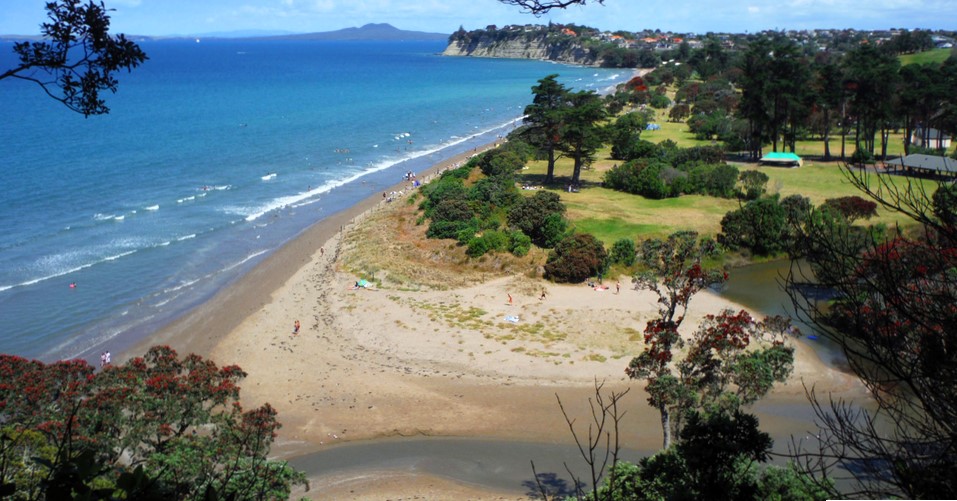 Long Bay Auckland