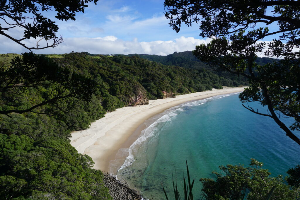 New Chums Beach Coromandel