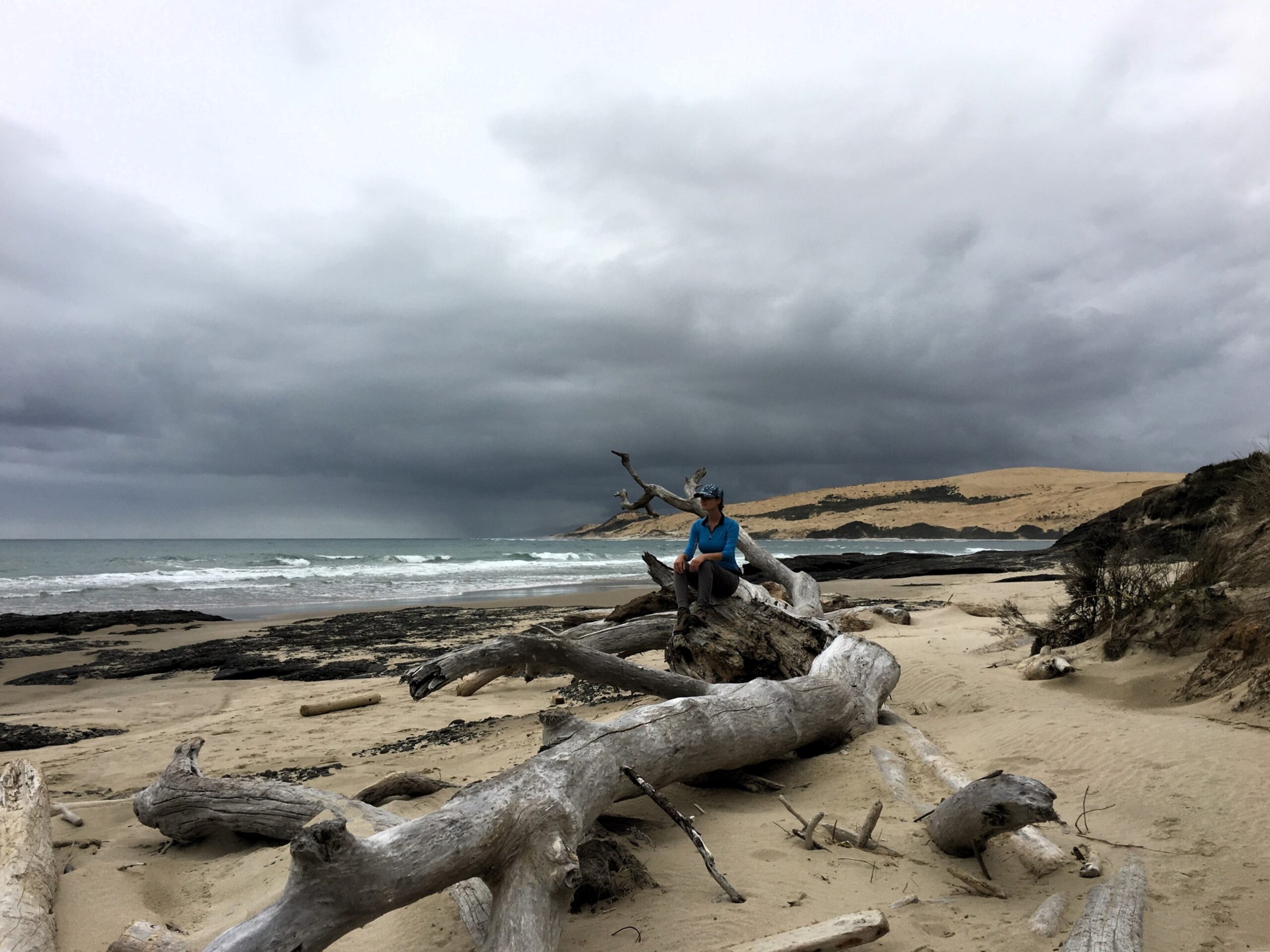 Ōmāpere New Zealand