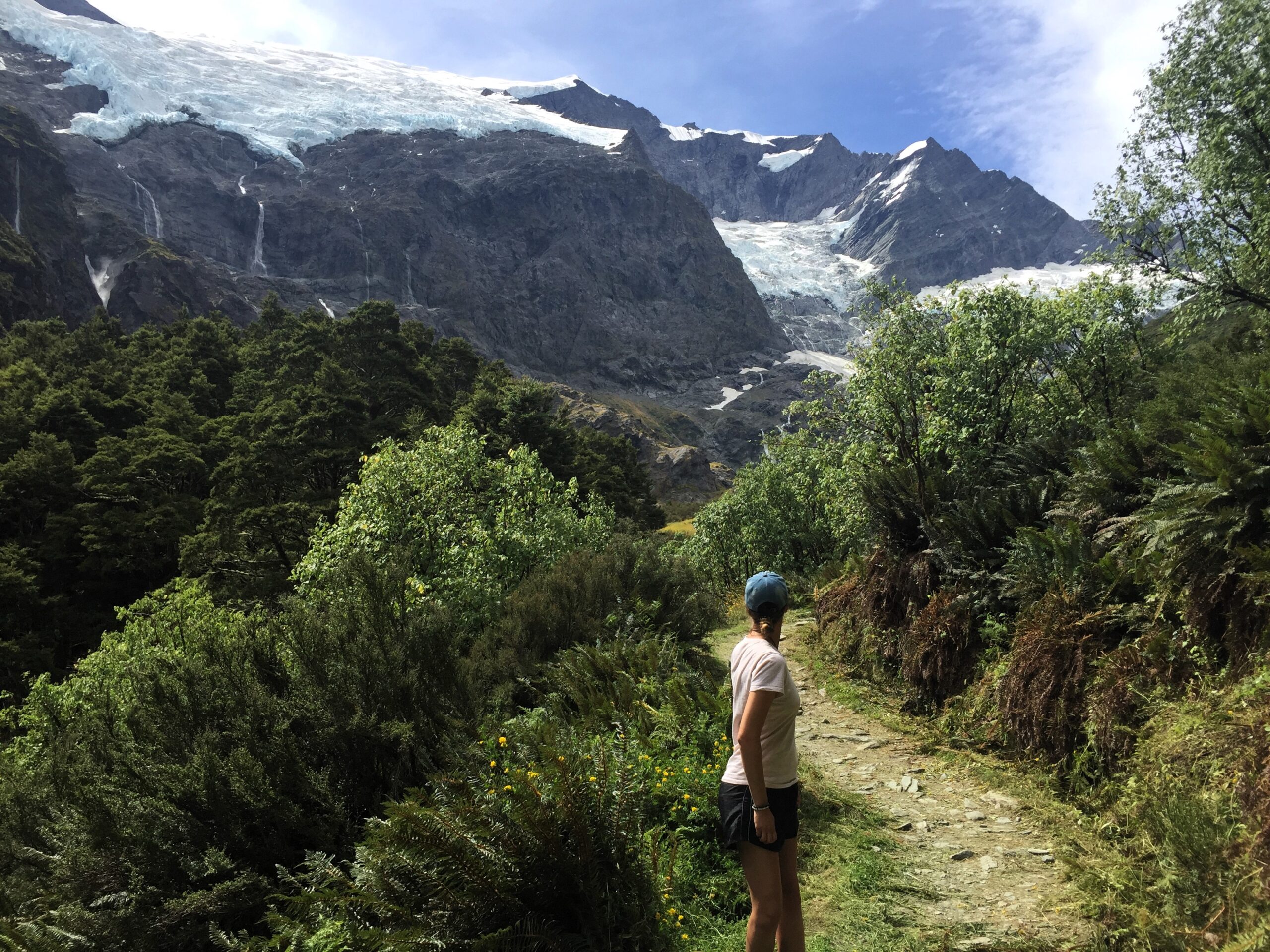 Rob Roy Glacier New Zealand