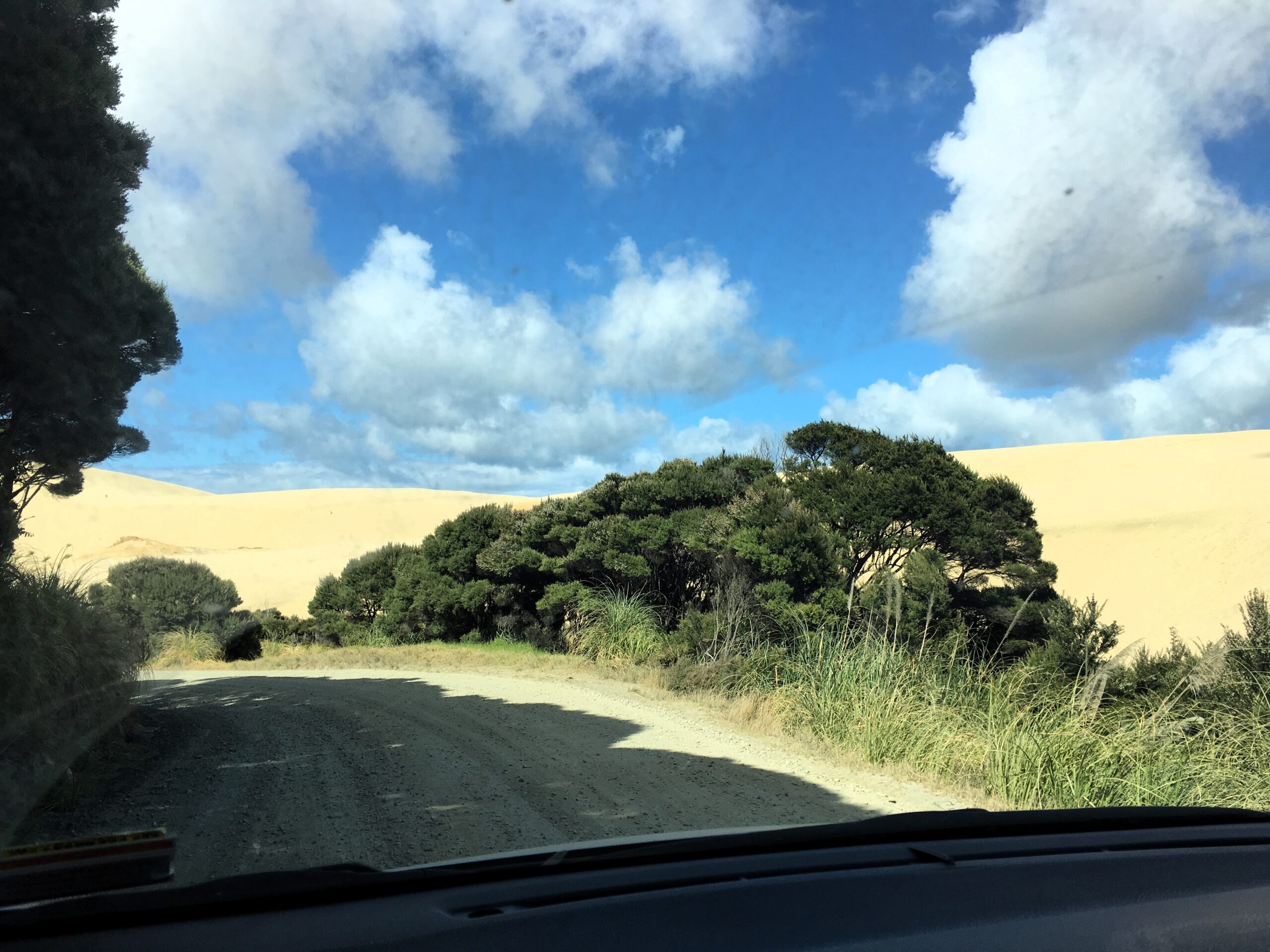 Te Paki Sand Dunes Northland