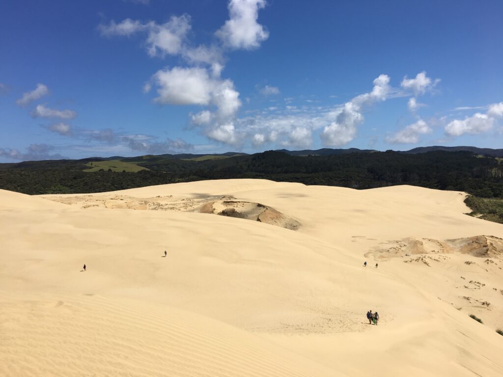 Te Paki Sand Dunes Northland
