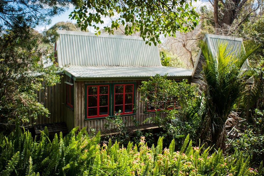 The Tree House New Zealand