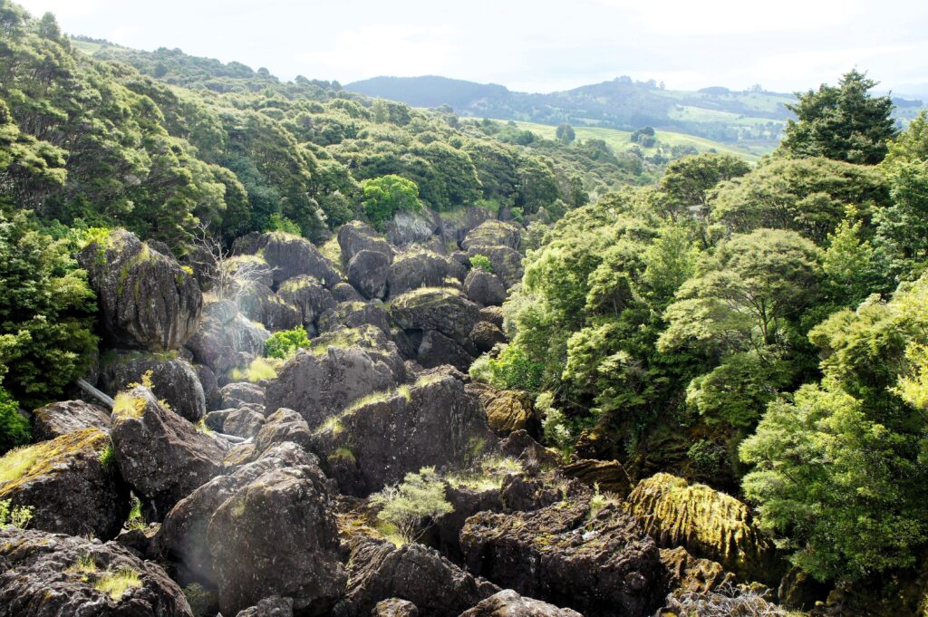 Wairere Boulders New Zealand