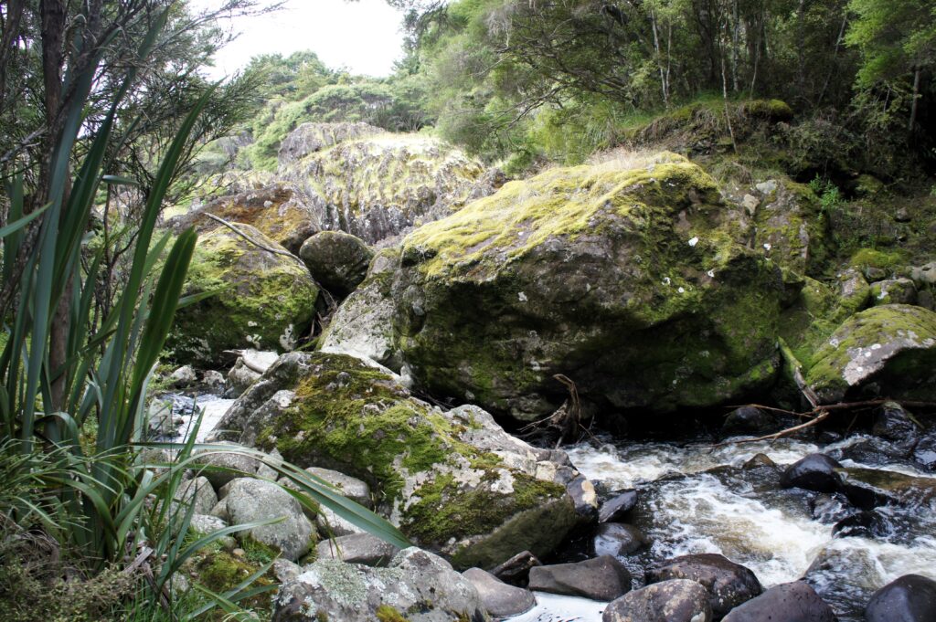 Wairere Boulders New Zealand