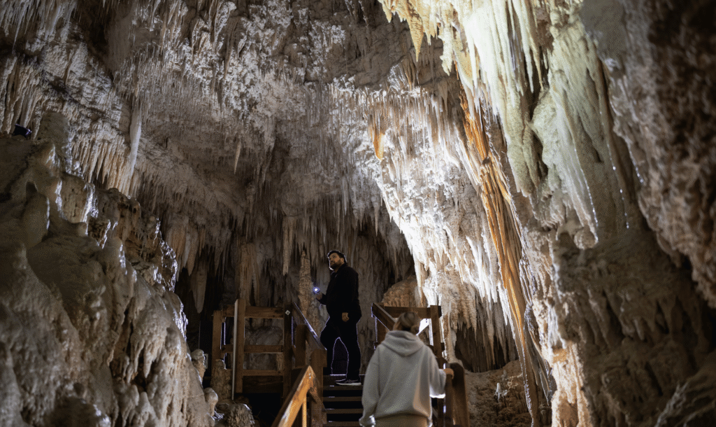 Waitomo Glowworm Caves