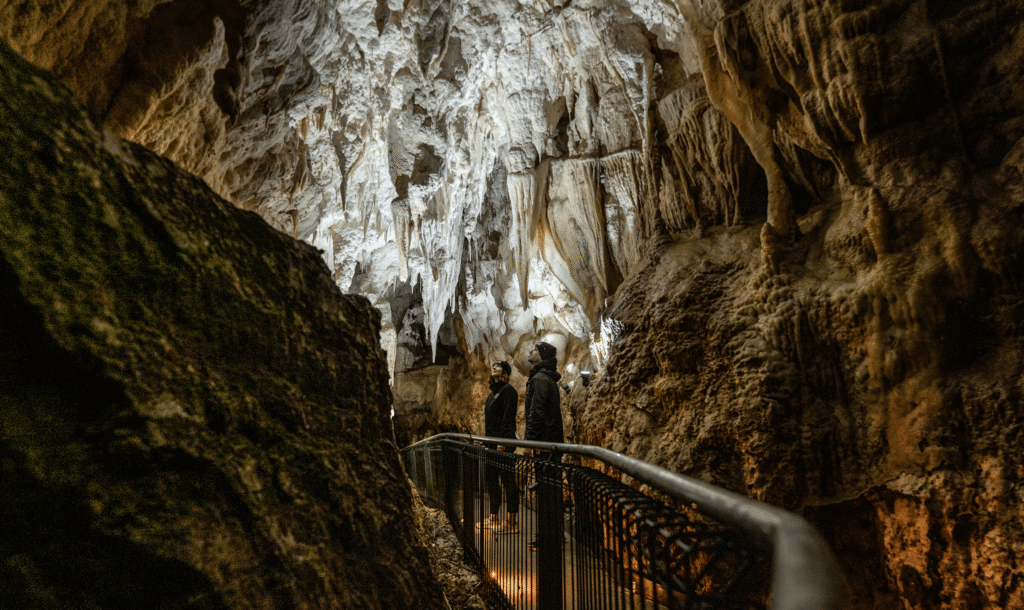 Waitomo Glowworm Caves