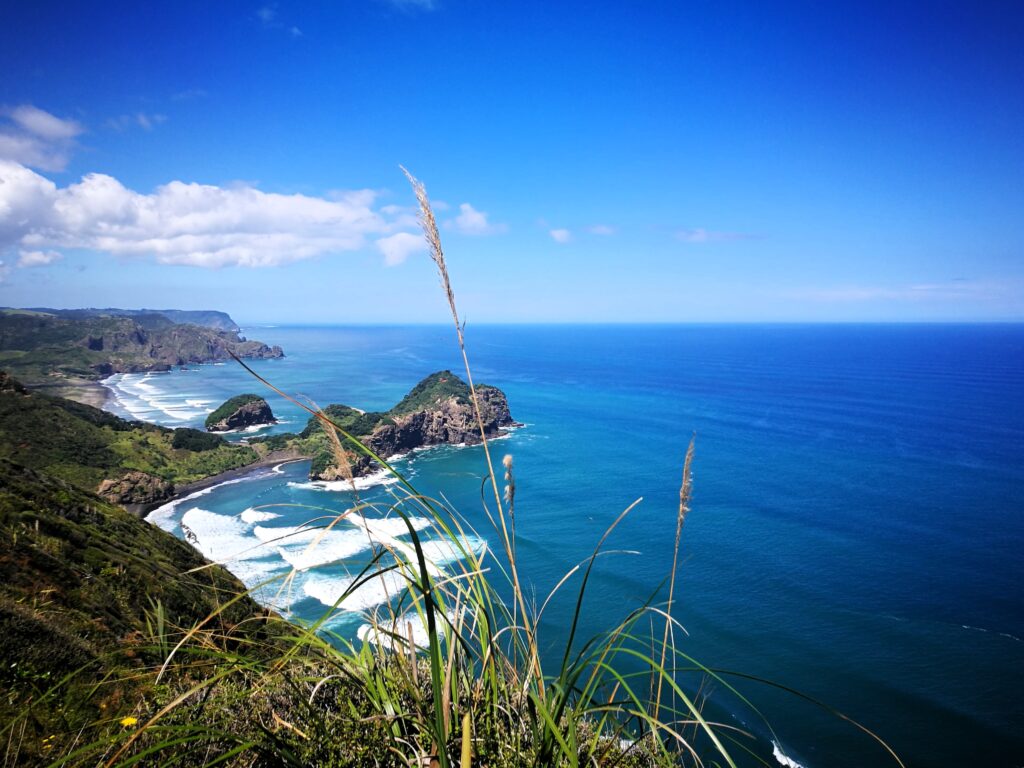 Te Henga / Bethells Beach Auckland